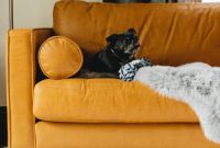 Pet-friendly living room furniture with fabric